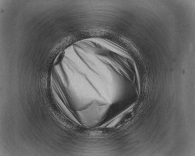 X0000085020501200703261224