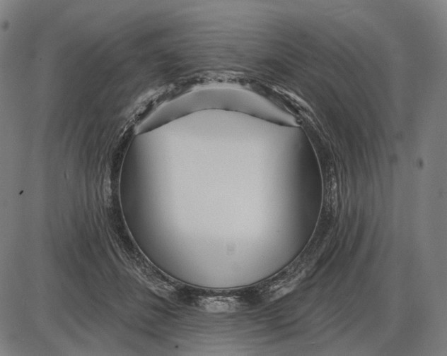 X0000085020508200703261224