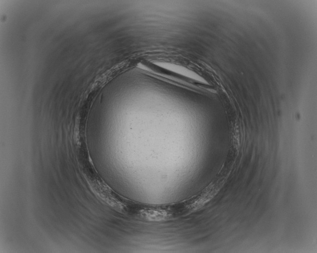 X0000085020512200703261224