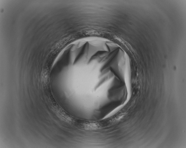 X0000085020513200703261224