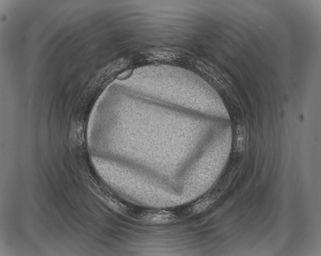 X0000085020514200703261224