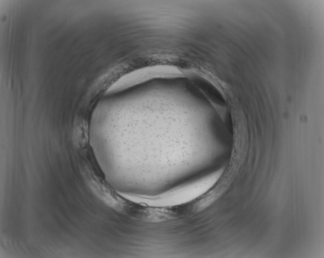 X0000085020528200703261224