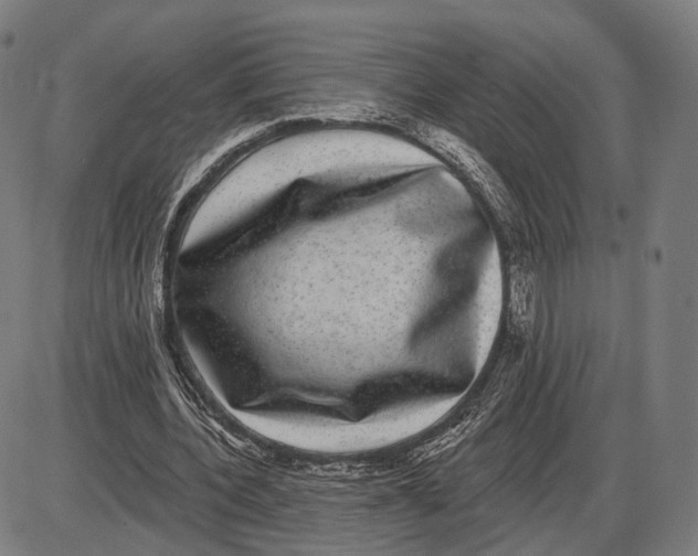 X0000085020532200703261223