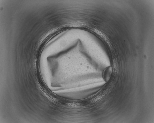 X0000085020535200703261223