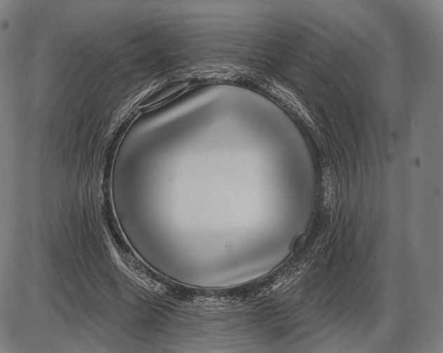 X0000085020538200703261223
