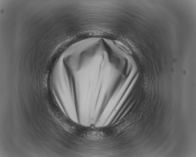 X0000085020543200703261223