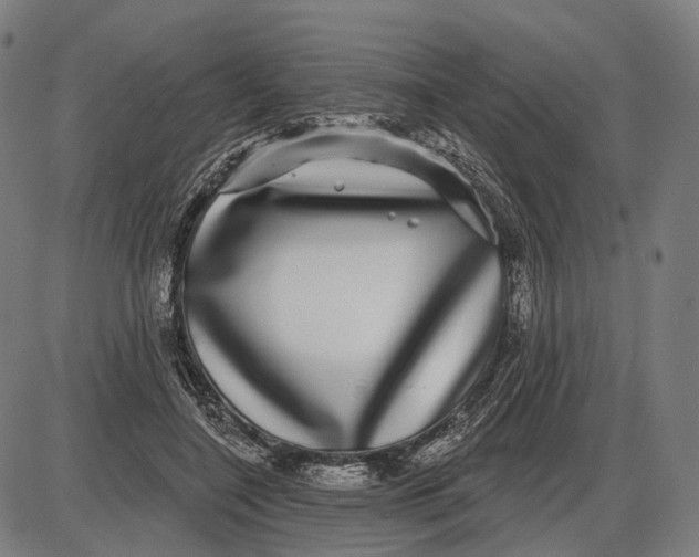 X0000085020548200703261223