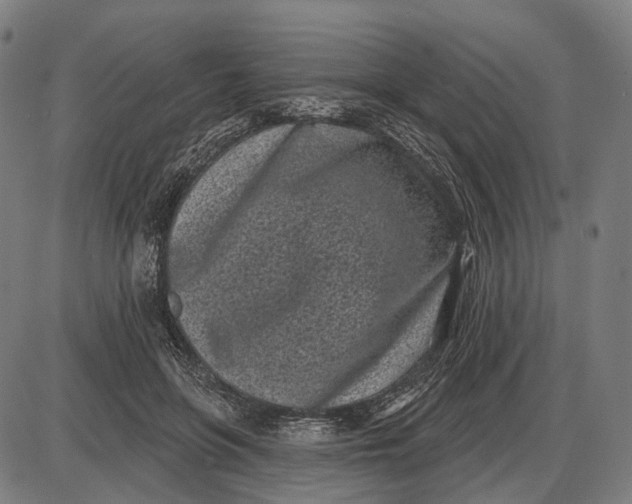 X0000085020551200703261223