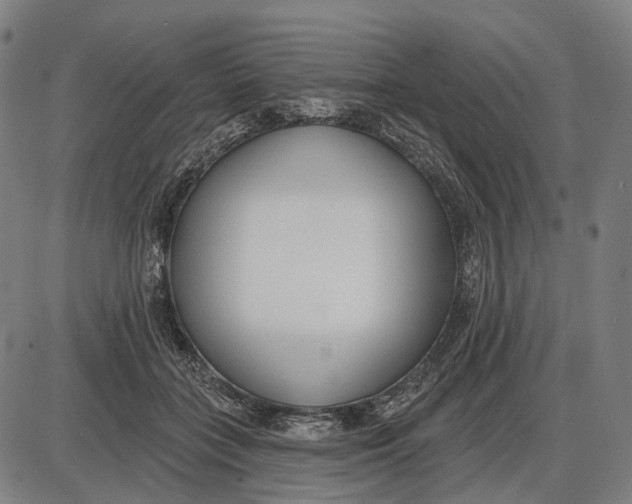 X0000085020555200703261223