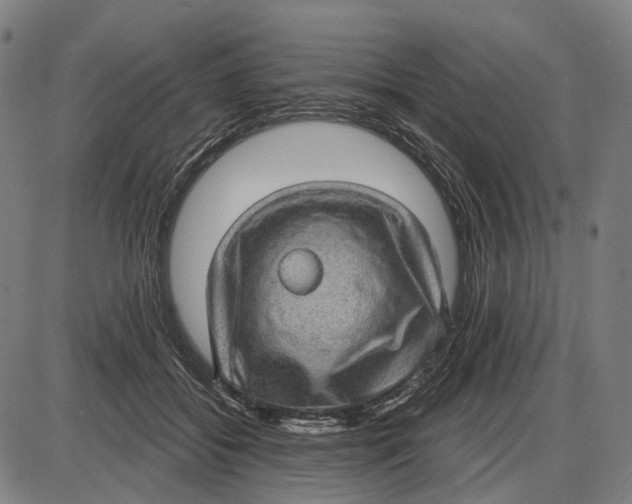 X0000085020556200703261223