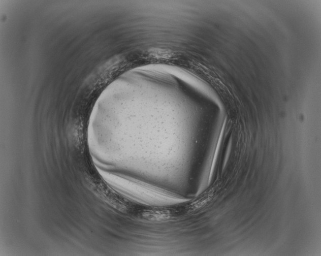 X0000085020559200703261223