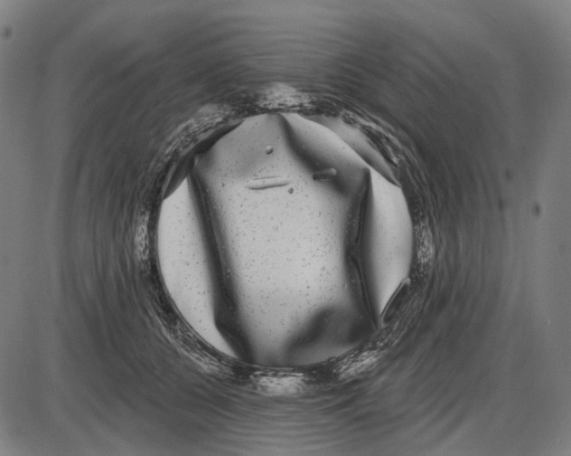 X0000085020560200703261223