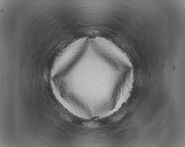 X0000085020561200703261223