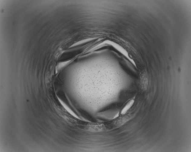 X0000085020571200703261224