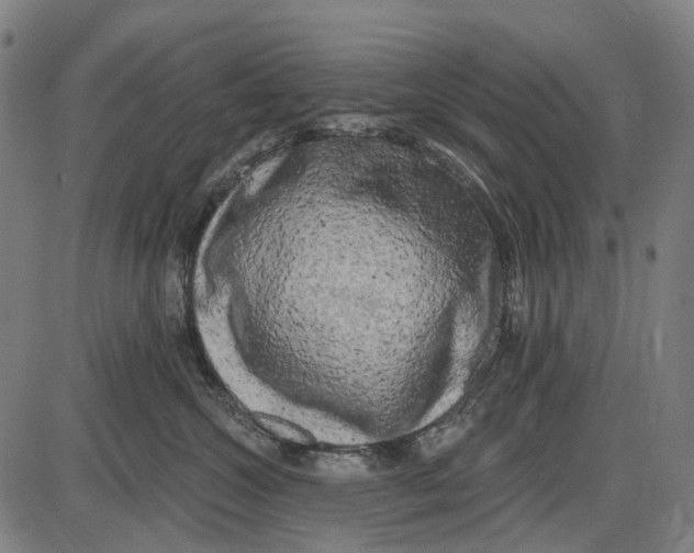 X0000085020572200703261224