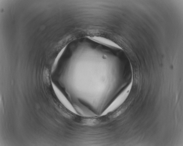 X0000085020575200703261224