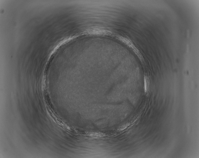 X0000085020579200703261223