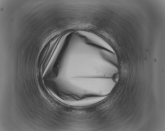 X0000085020582200703261223