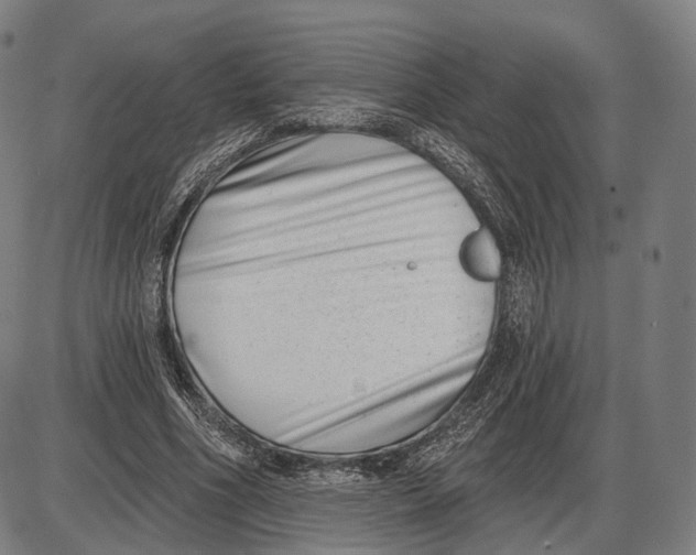X0000085020586200703261223