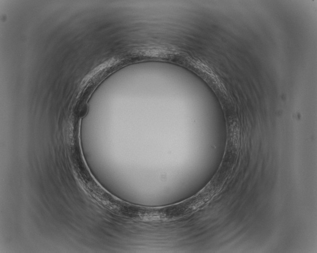 X0000085020587200703261223