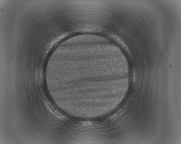 X0000085020588200703261223
