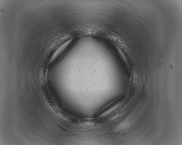 X0000085020594200703261223