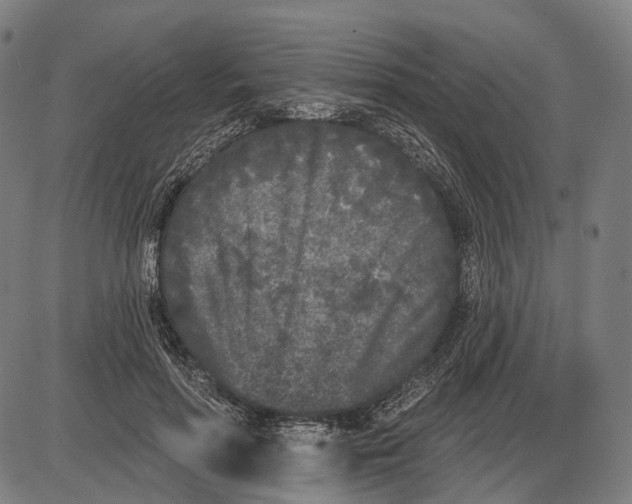 X0000085020598200703261223