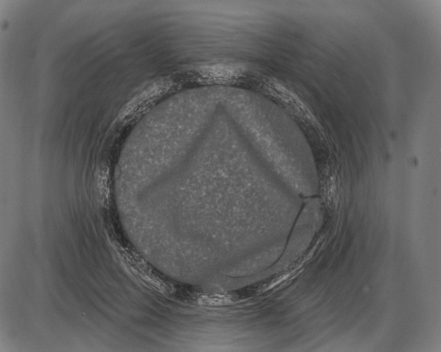 X0000085020599200703261222