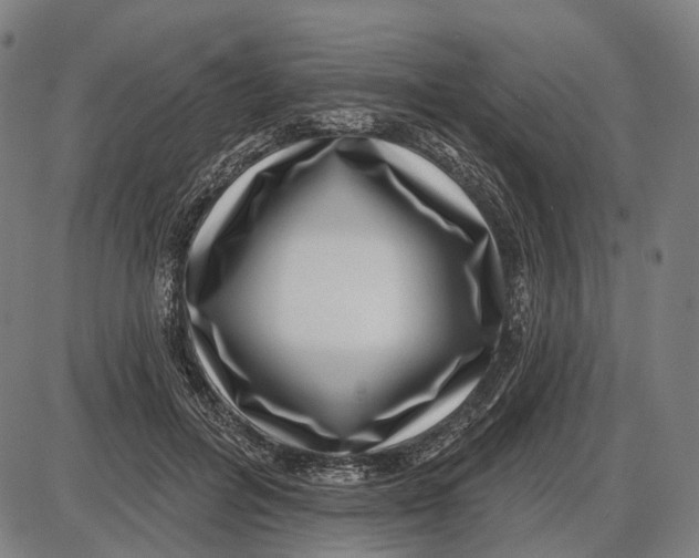 X0000085020600200703261222