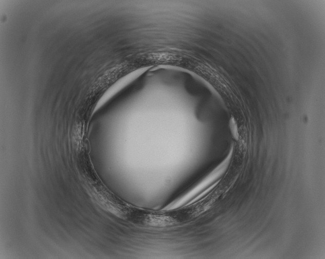 X0000085020605200703261222
