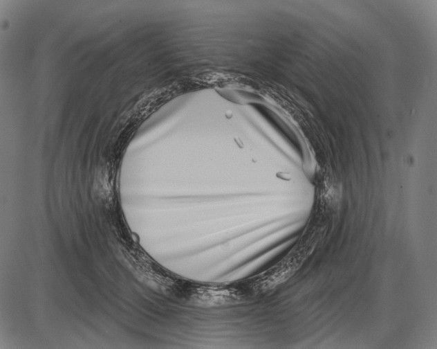 X0000085020607200703261222
