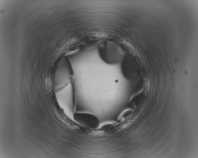 X0000085020609200703261222