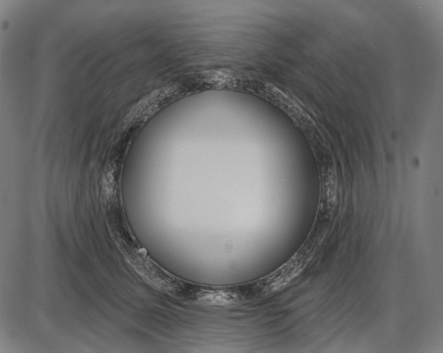 X0000085020611200703261222