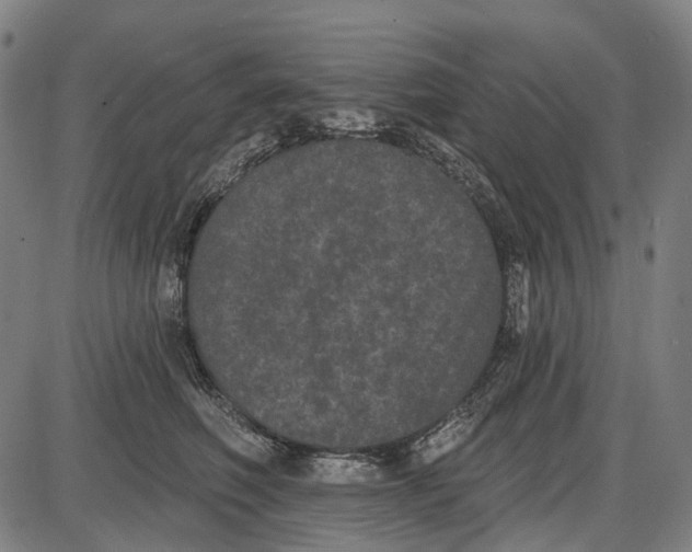 X0000085020614200703261222