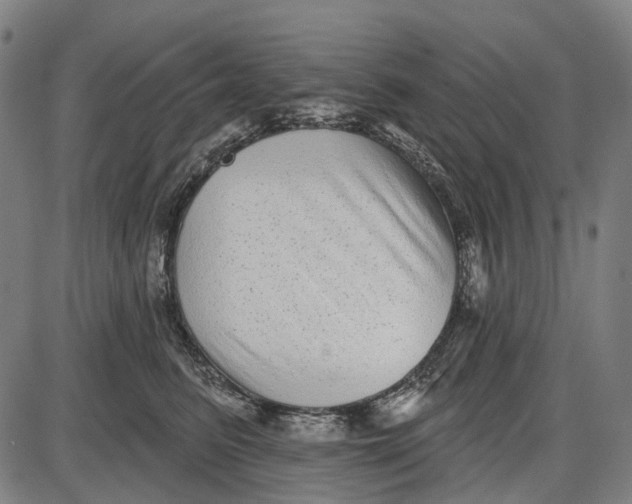 X0000085020615200703261222