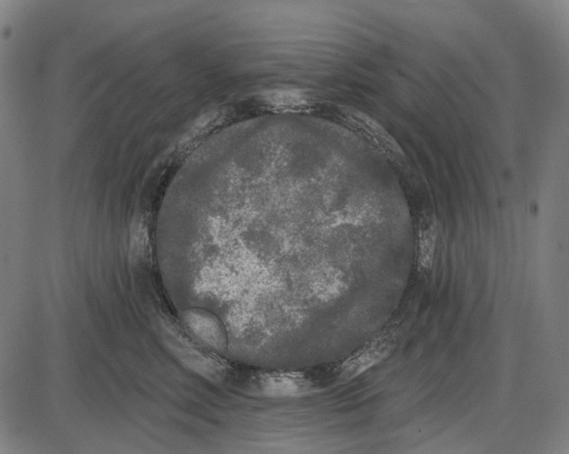 X0000085020618200703261222