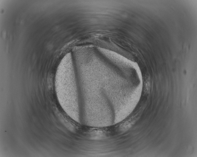 X0000085020620200703261222