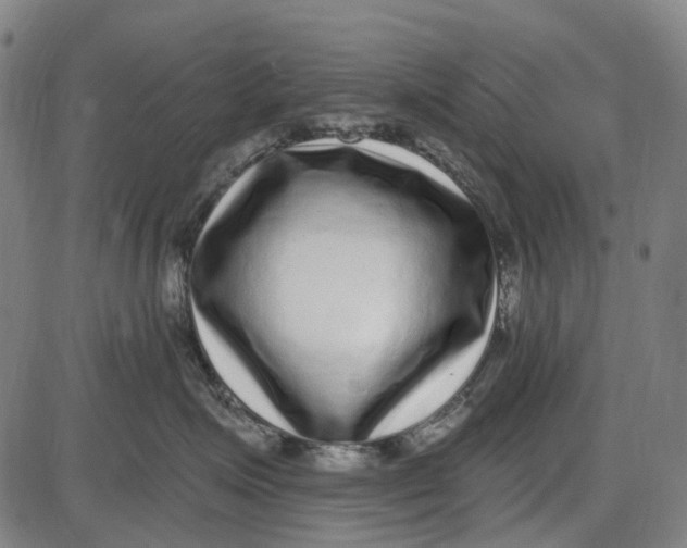 X0000085020623200703261222