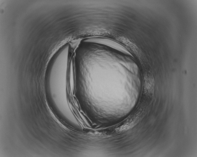 X0000085020630200703261221