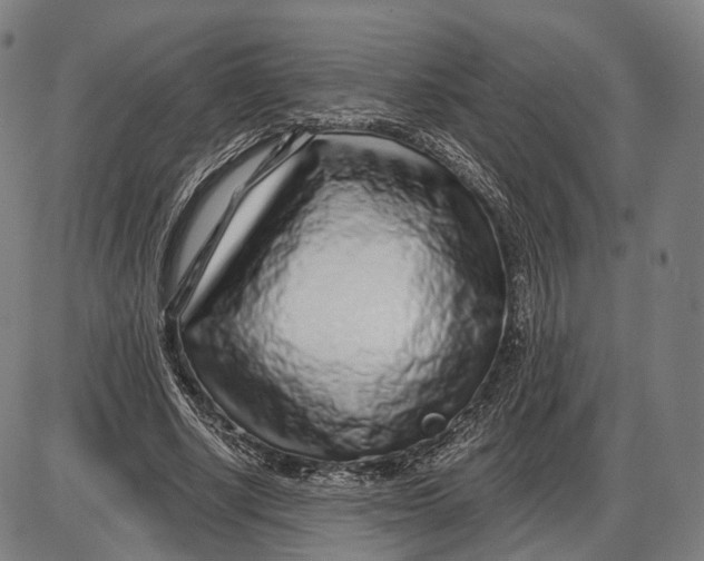 X0000085020634200703261221
