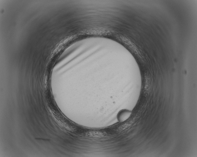 X0000085020636200703261221