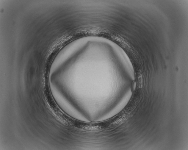 X0000085020638200703261221