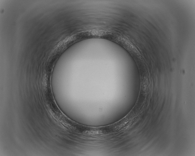 X0000085020639200703261221