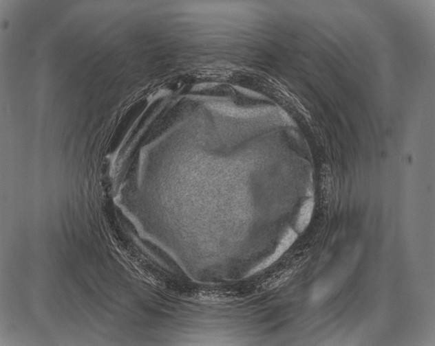 X0000085020641200703261222