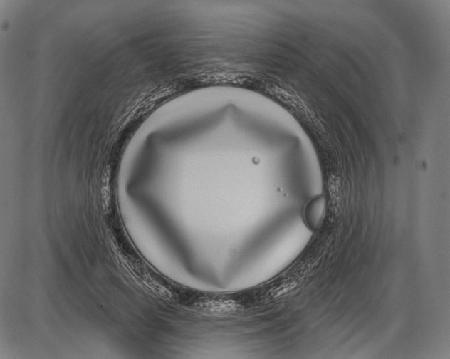 X0000085020642200703261222