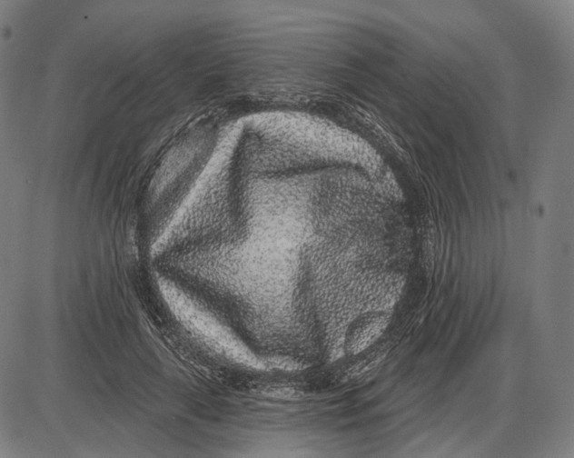 X0000085020643200703261222