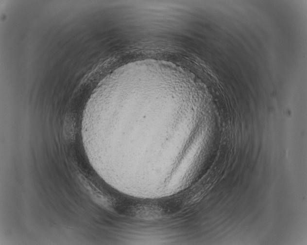 X0000085020644200703261222