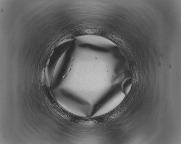 X0000085020646200703261222