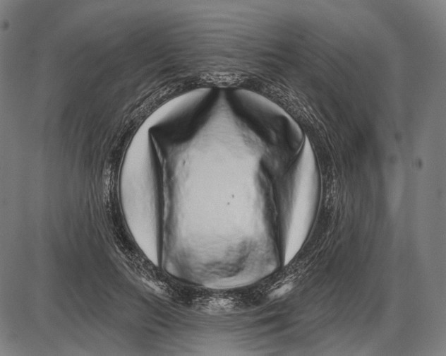 X0000085020647200703261222
