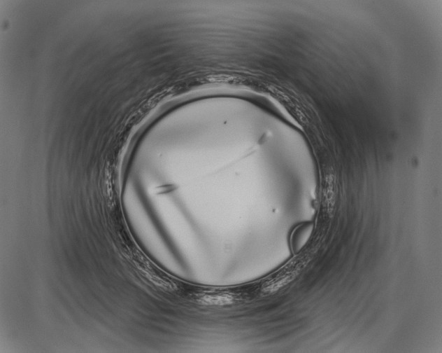 X0000085020653200703261222